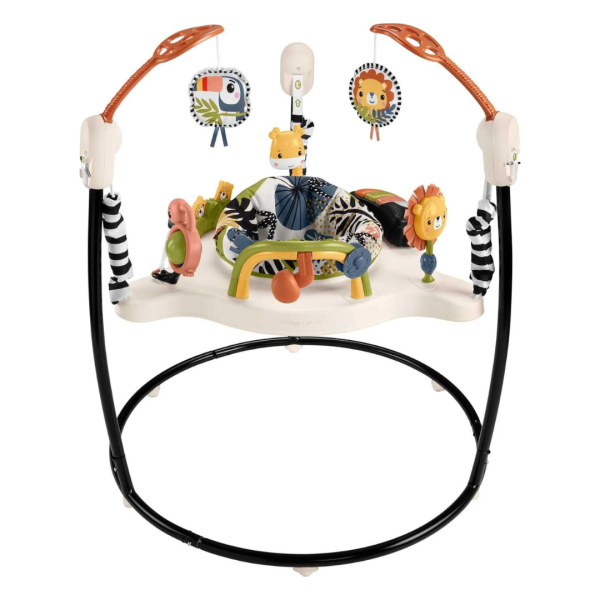 Fisher-Price Baby Bouncer Palm Paradise Jumperoo Activity Center With Music Lights Sounds and Developmental Toys For Discount